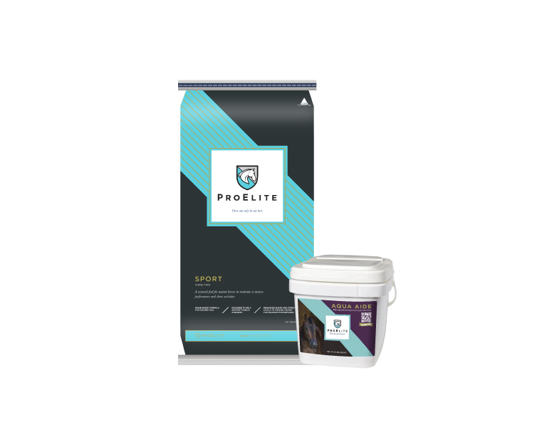 proelite sport