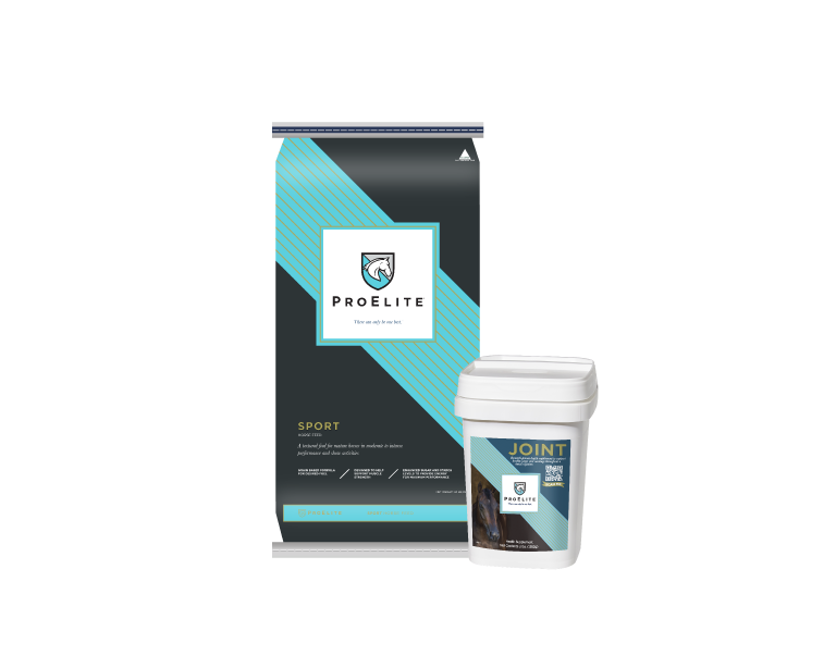 proelite sport