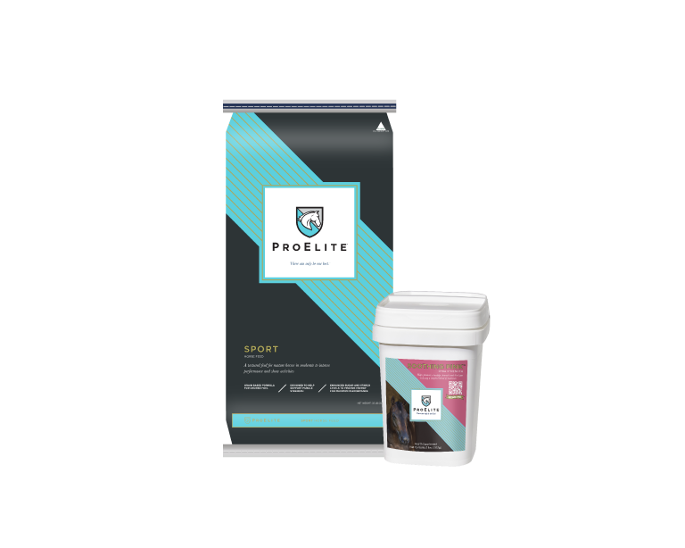 proelite sport