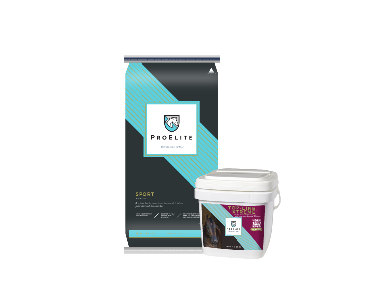 proelite sport