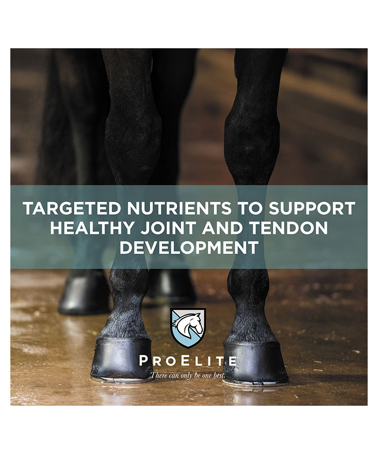 targeted nutrients to support healthy joint and tendon development