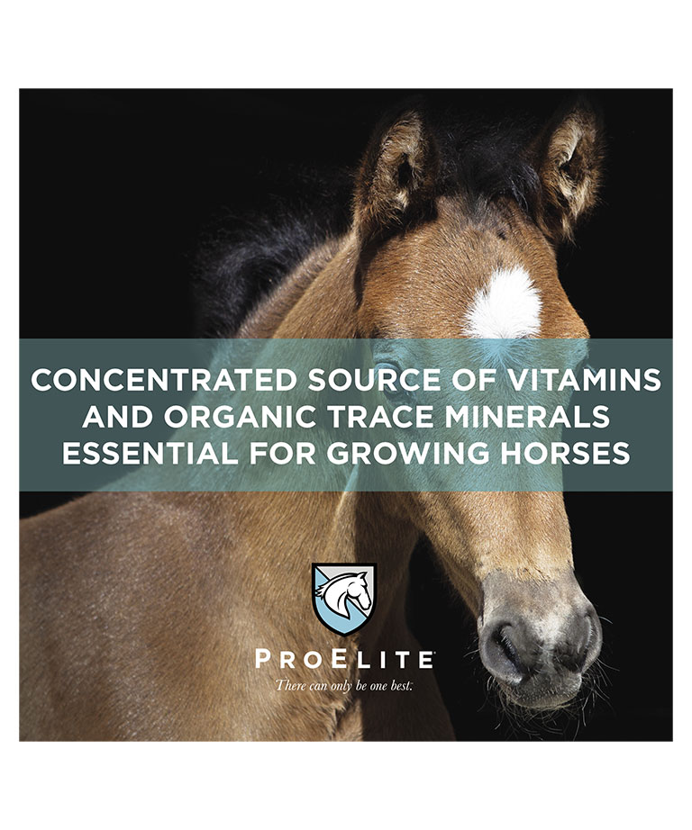 concentrated source of vitamins and organic trace minerals essential for growing horses