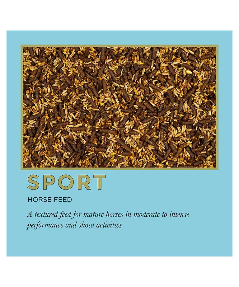 sport horse feed