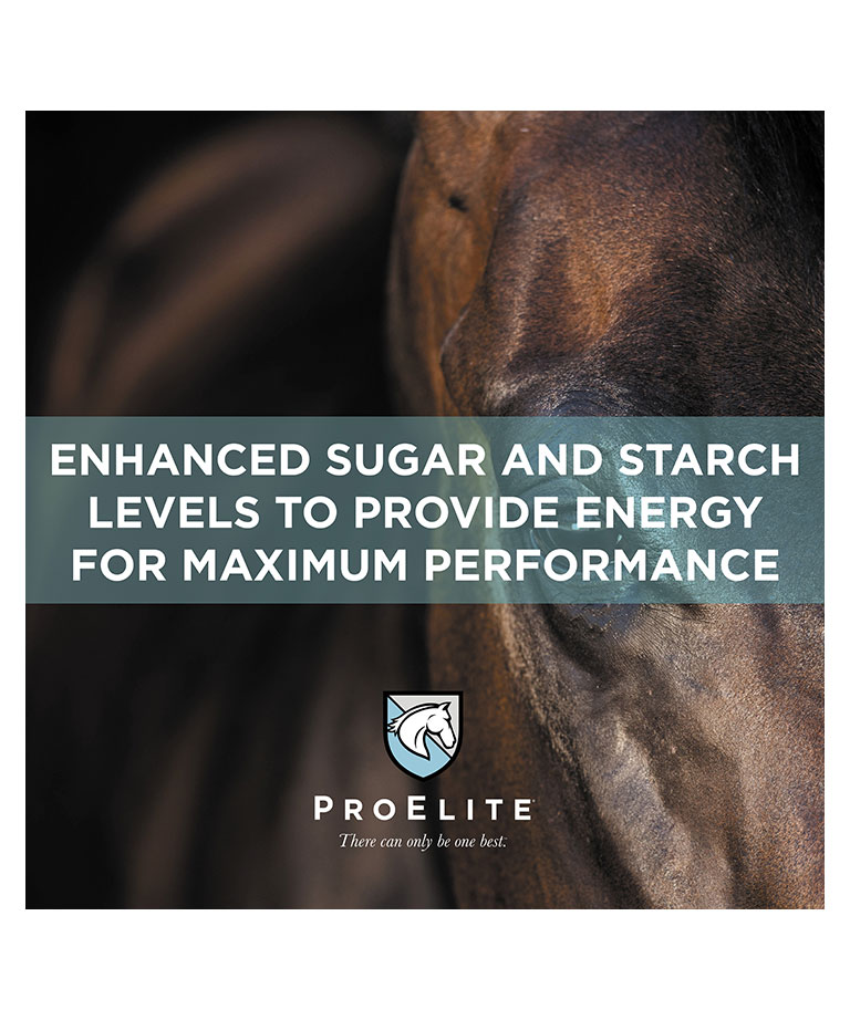 enhanced sugar and starch levels to provide energy for maximum performance