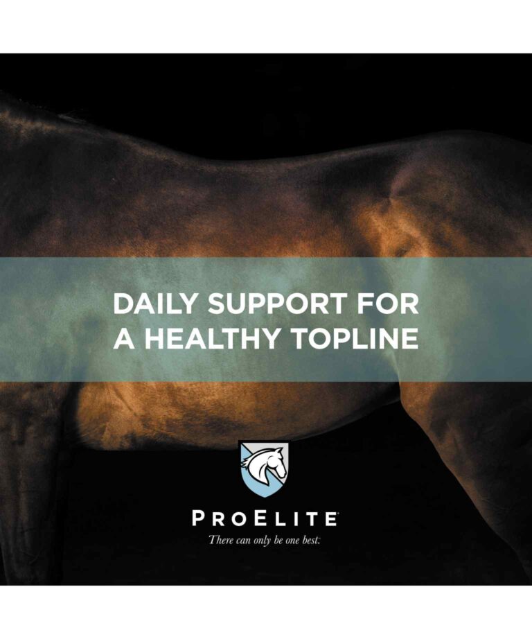 daily support for a healthy topline