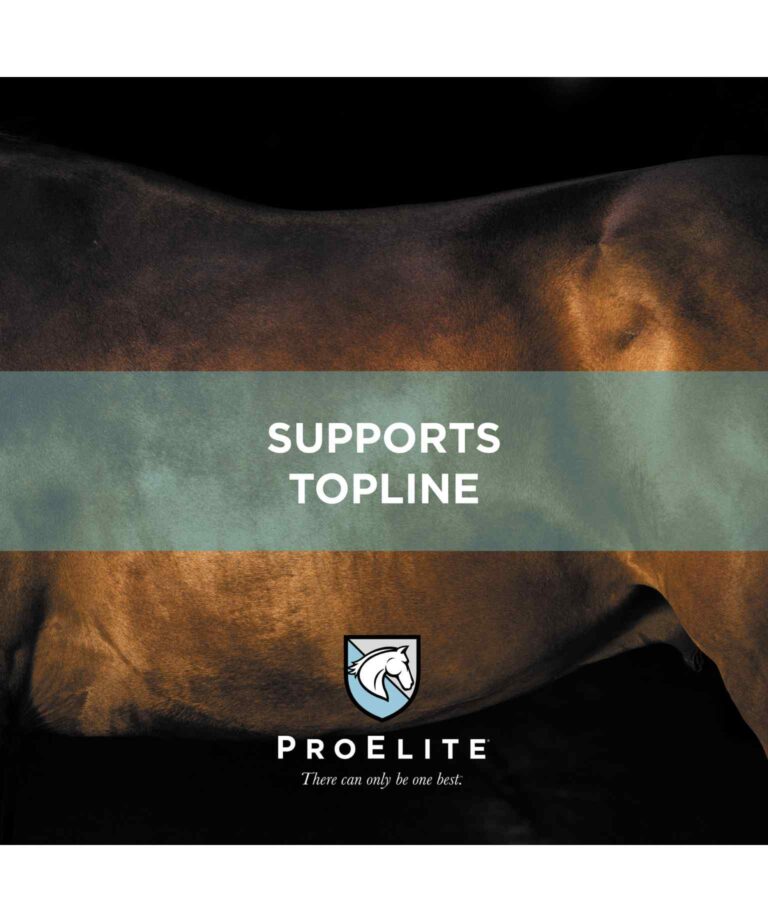 supports topline