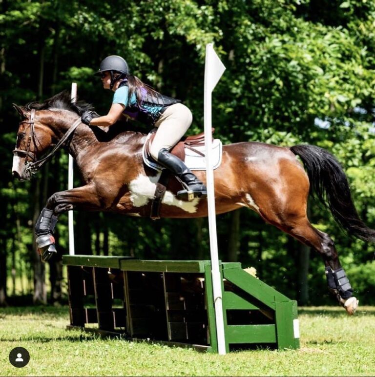 horse jumping with rider on its back