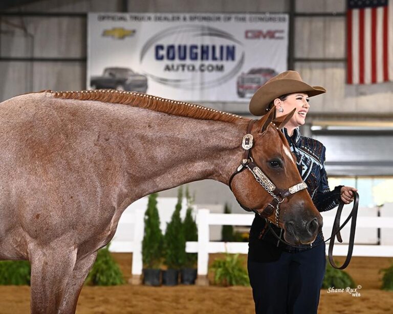 a woman showing a horse in an arena